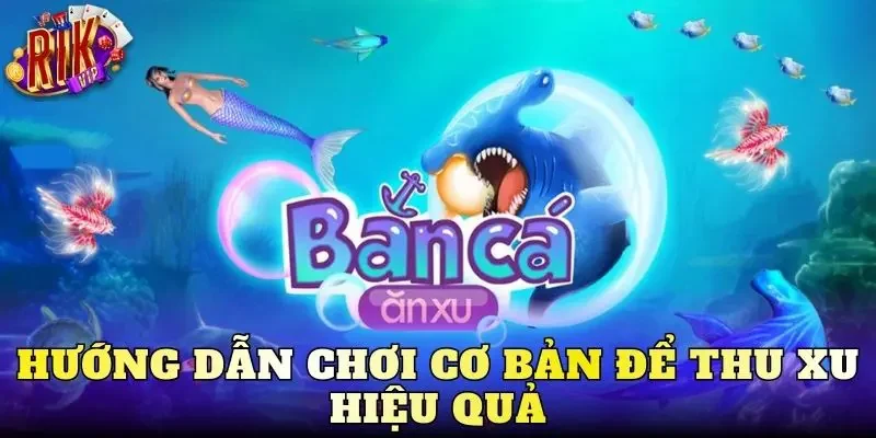 Hướng dẫn chơi cơ bản để thu xu hiệu quả